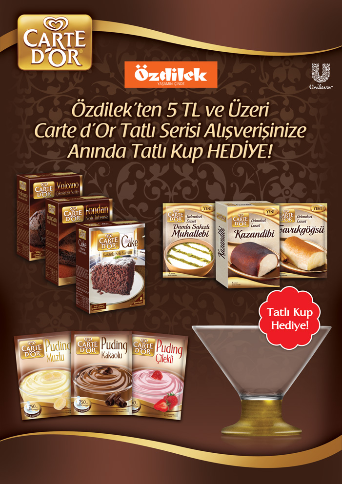 CDO özdilek insert a4.png