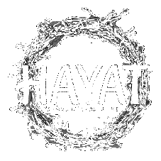 hayat.png