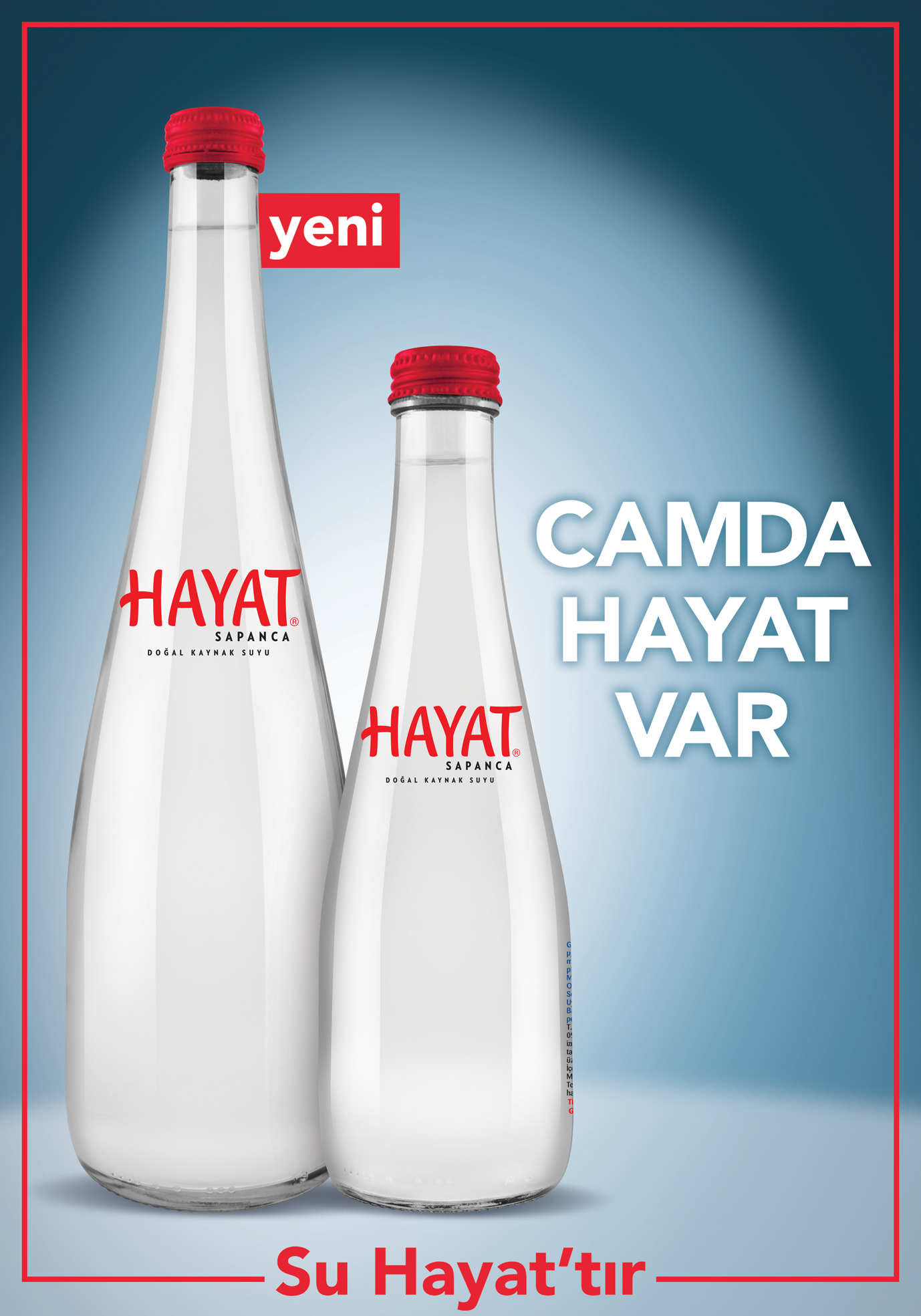 hayatkvdikey70x100[1][1].jpg