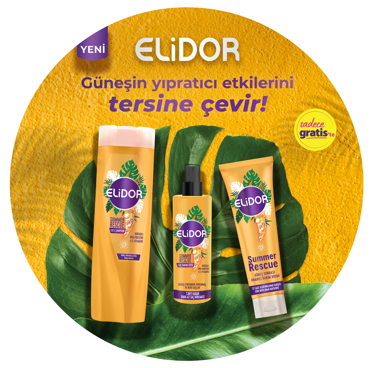 _Elidor-Summer-Rescue-Gratis-oyun--yardım2.png